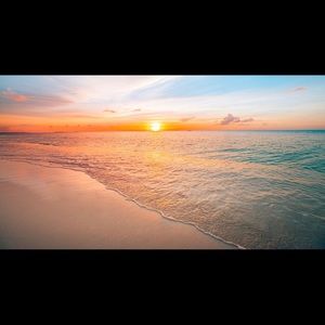 Meet your Posher, Lauren b